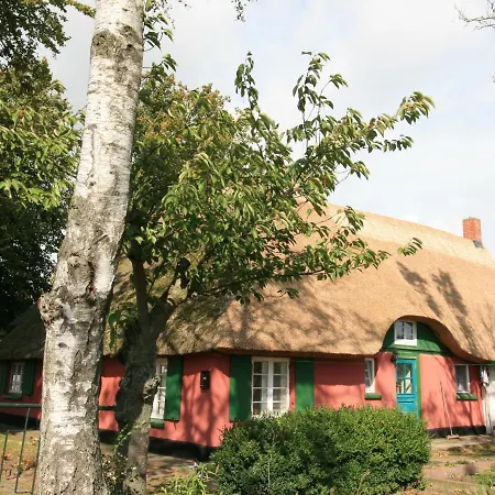 Unterm Rohrdach * Wustrow (Fischland)